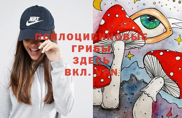 а пвп мука Баксан