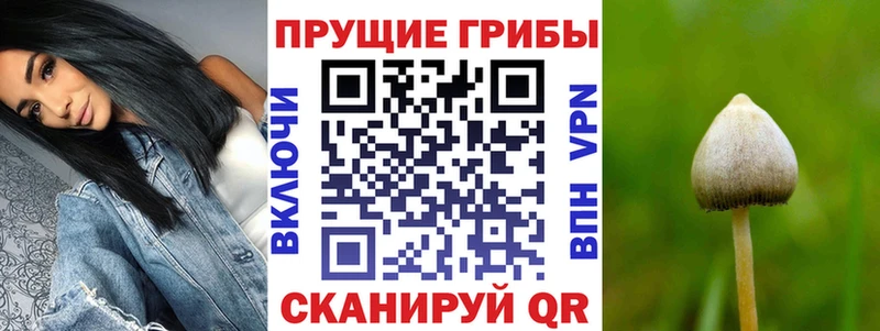 где купить наркотик  Гаврилов-Ям  ОМГ ОМГ ТОР  Псилоцибиновые грибы мухоморы 