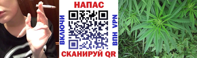 где найти наркотики  Гаврилов-Ям  Марихуана VHQ 